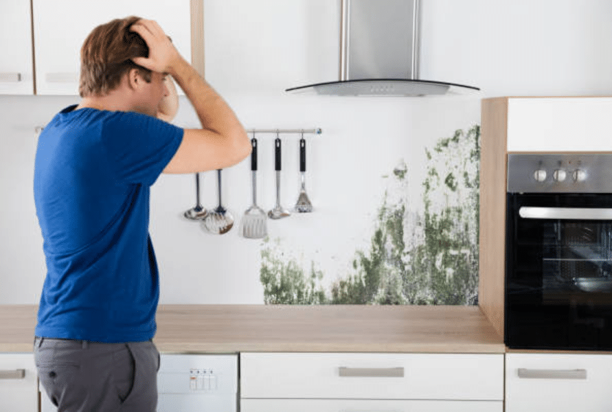 The Effect Of Mould On Renters Mental Health