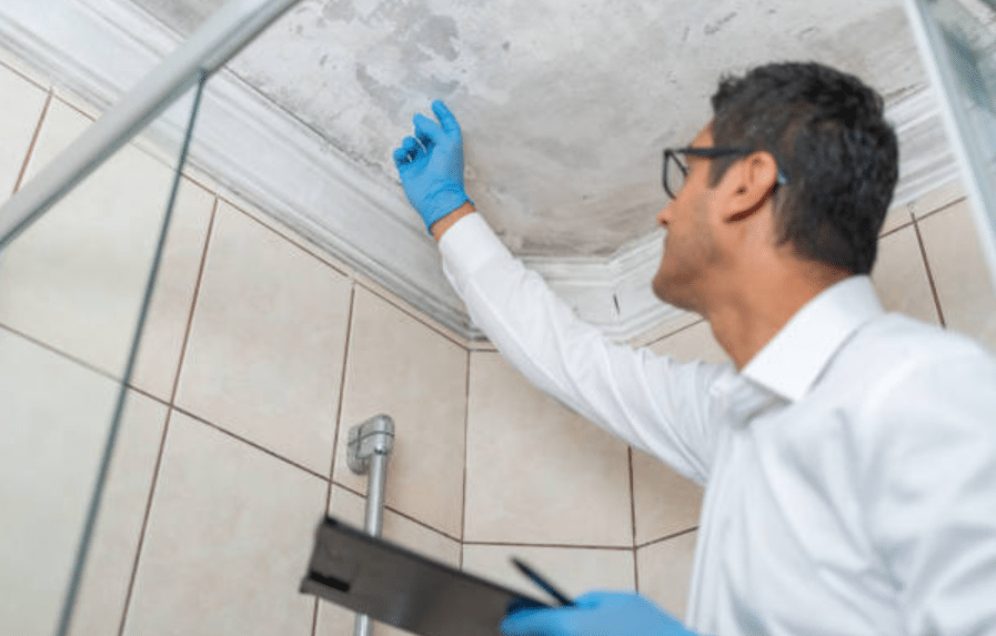 Latest Mould Policy – Legislation Around Social Housing and Mould