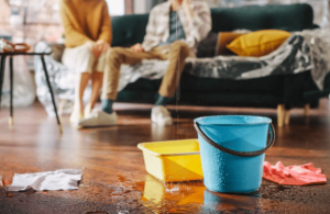 Addressing mould issues in social housing