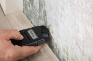 Mold Testing in Historic Buildings Study