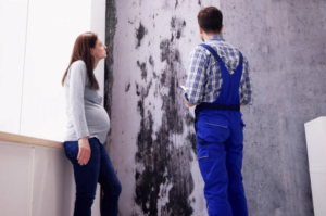Mould Prevention Tips for Social Housing Residents
