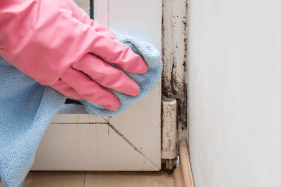 Mould Prevention Tips for Social Housing Residents
