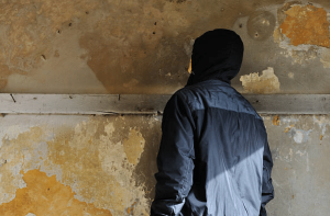 Understanding Mould in Rental Properties