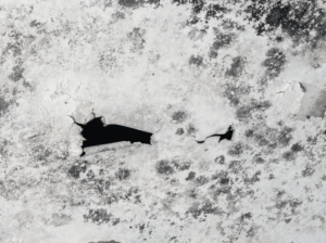 Importance of Mould Prevention Techniques