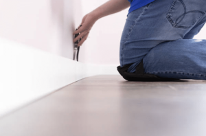 Importance of Professional Mould Removal