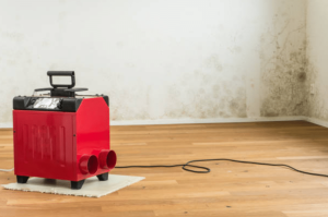 Innovative Solutions for Mould-Free Social Housing