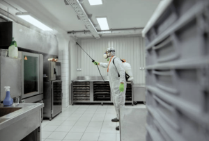 Maintaining a Mould-Free Restaurant Environment