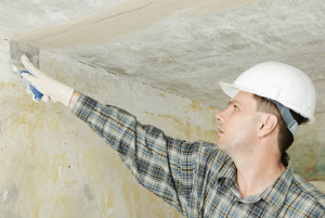 Monitoring and Early Detection of Mould Growth