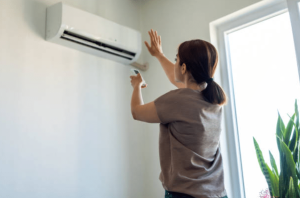 Preventing Office mould Growth