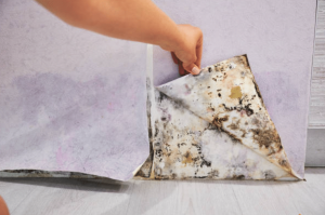 Other Tips for Humidity Management in Retail Shops