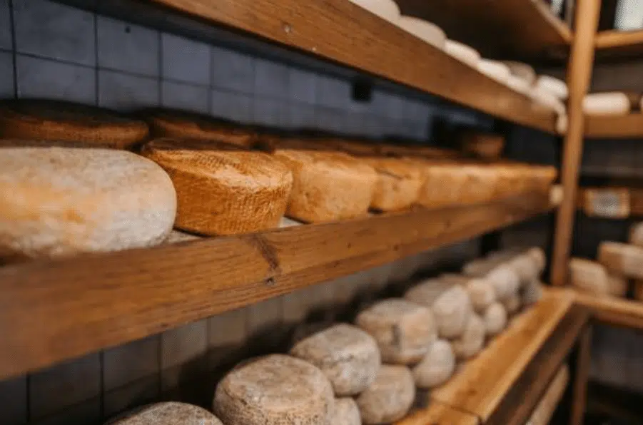 Restaurant Mould Concerns: UK Guide to Food Safety and Customer Well-being