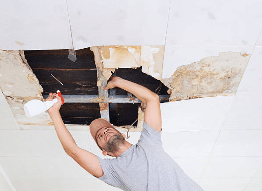 Tackling Mould in UK Warehouses: Top Tips for Storage Units