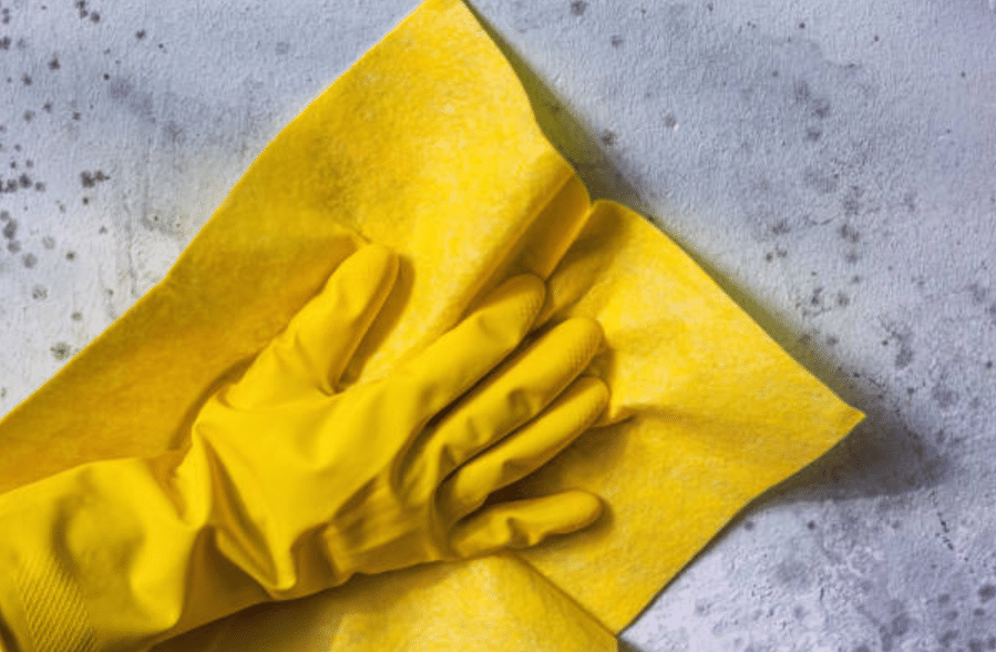 The Role of Maintenance in Preventing Mould in Social Housing