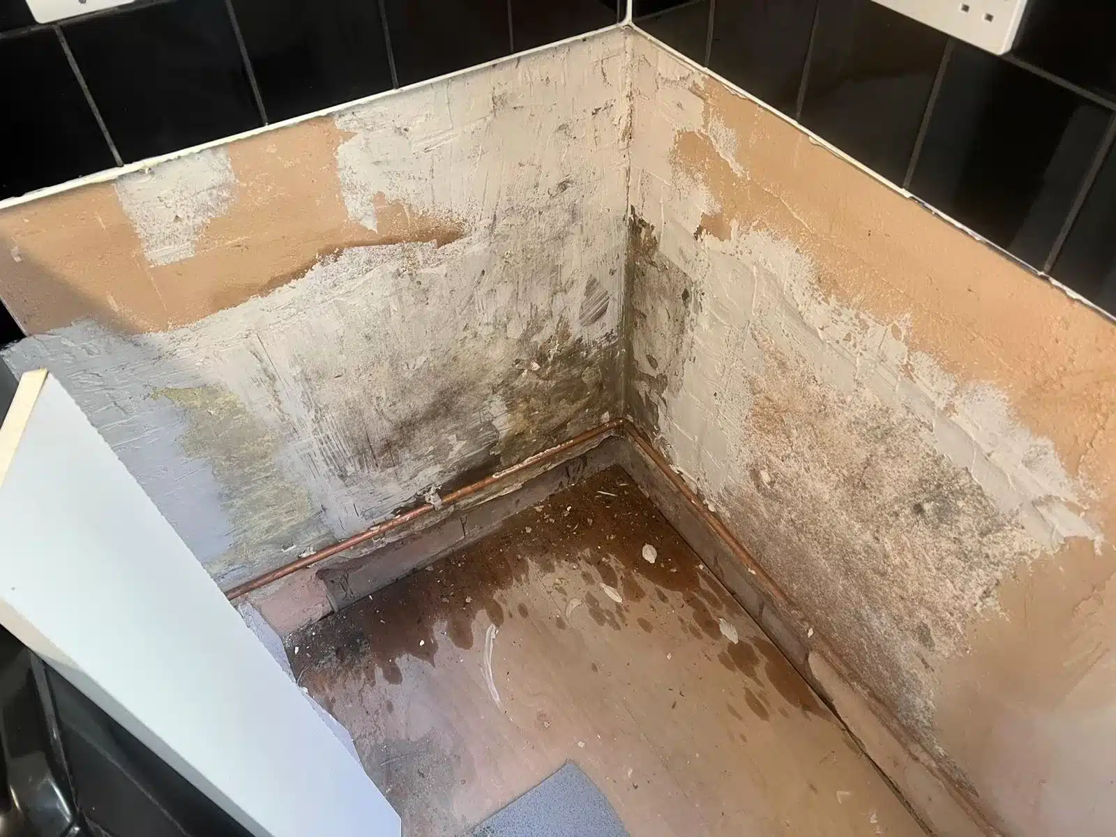 Restoring Health and Comfort: A Severe Mould Removal Success in Barnet