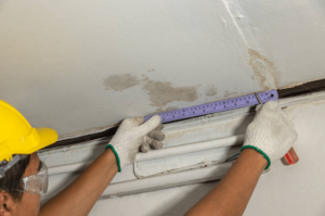 Why Choose AirFresh Mould Removal London